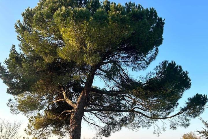 Aménagement paysager Marmande