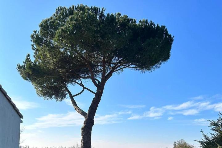 Aménagement paysager Marmande