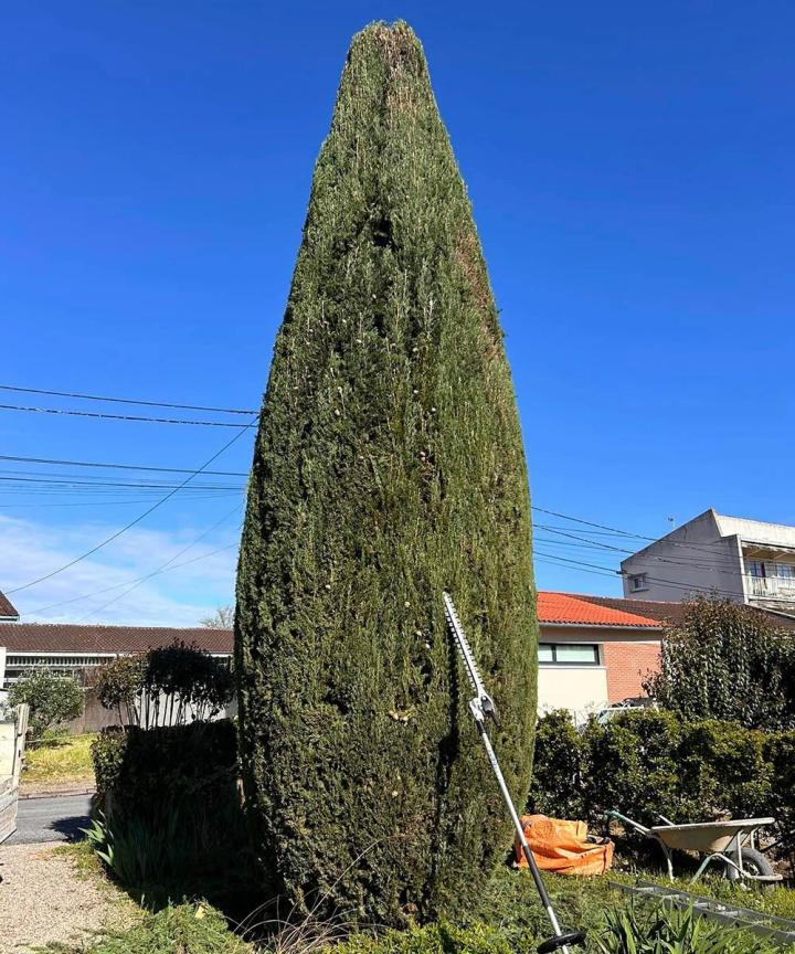 Aménagement paysager Marmande